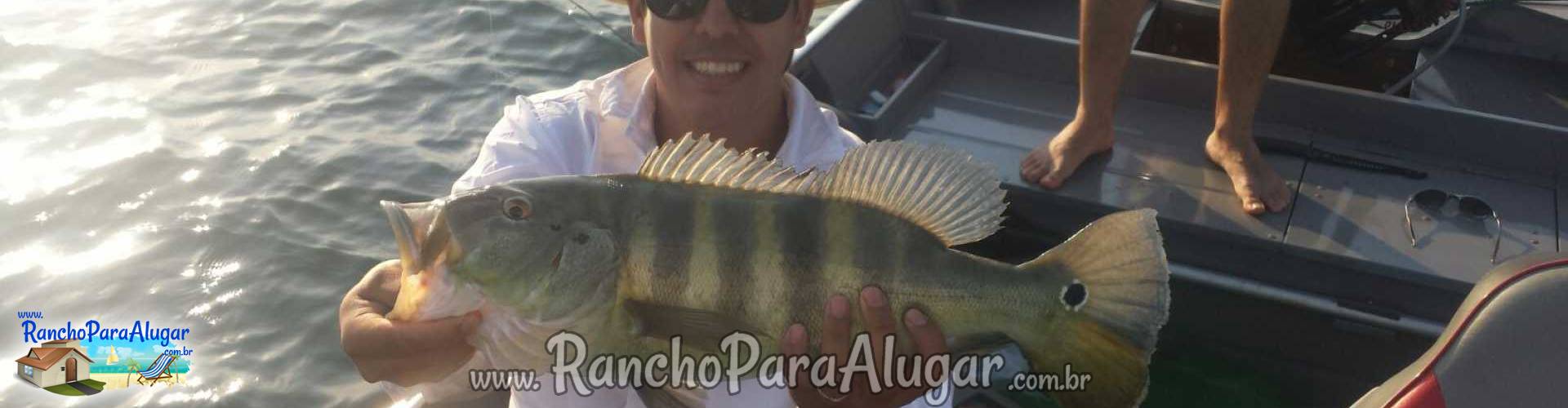 Barcos Alugar Imperial Guia de Pesca e Piloteiro em Miguelopolis