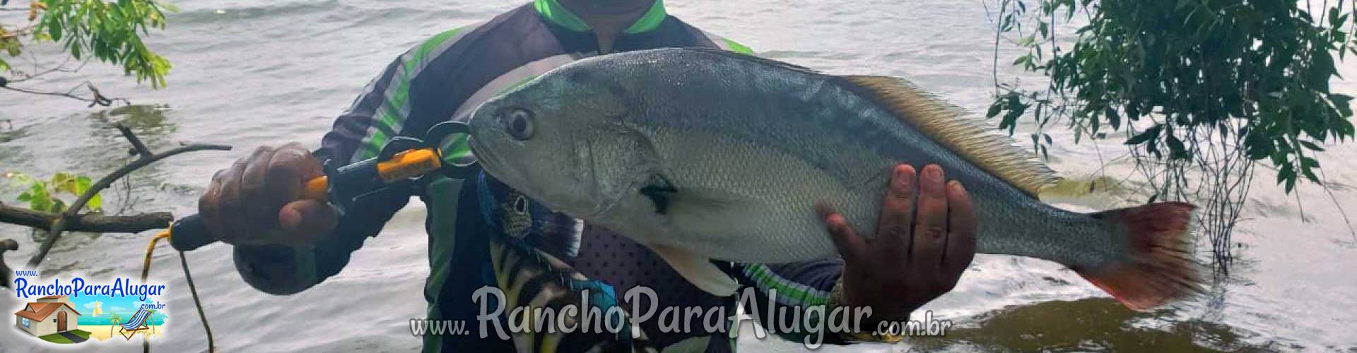 Wellington Japonês Guia de Pesca e Piloteiro em Miguelopolis