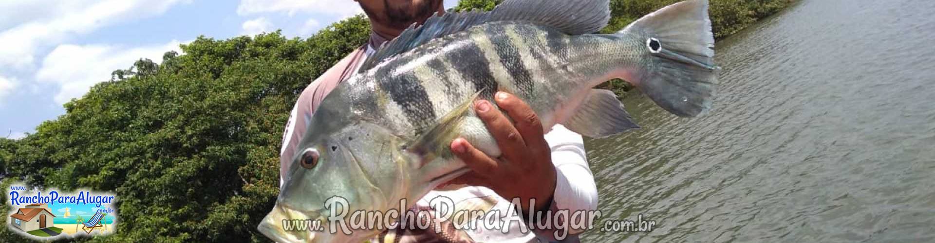 Wellington Japonês Guia de Pesca e Piloteiro em Miguelopolis