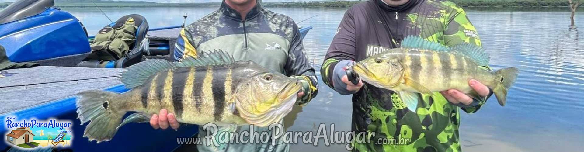 Roberteira Guia de Pesca e Piloteiro em Miguelopolis