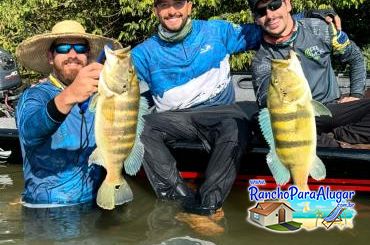 Roberteira Guia de Pesca e Piloteiro em Miguelopolis